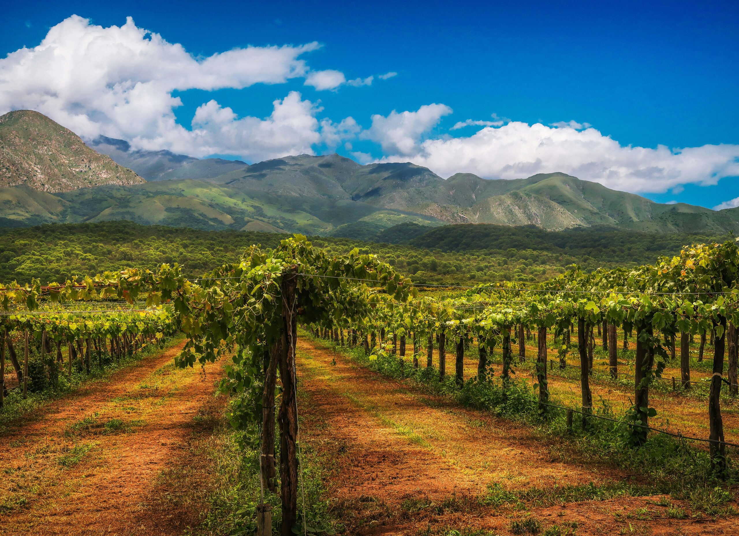 wine and wilderness travel destination